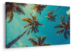 Slika - Visoke palme (90x60 cm)