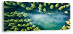 Slika - Šuma obavijena maglom (120x50 cm)