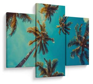 Slika - Visoke palme (90x60 cm)