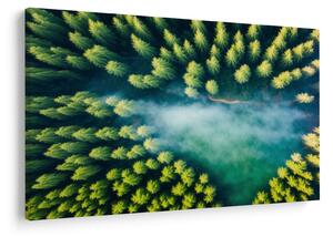 Slika - Šuma obavijena maglom (90x60 cm)