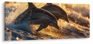 Slika - Dupini (120x50 cm)