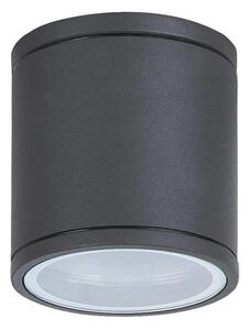 Rabalux 8150 - Vanjska stropna svjetlijka AKRON 1xGU10/35W/230V IP54