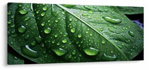 Slika - Detalj lista nakon kiše (120x50 cm)