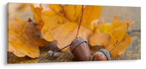 Slika - Jesenski žir (120x50 cm)