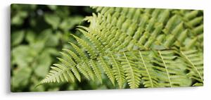Slika - List paprati (120x50 cm)