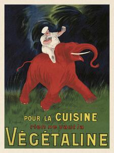 Reprodukcija umjetnosti Végétaline (Vintage Ad Ft. Elephant) - Leonetto Cappiello, (30 x 40 cm)