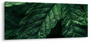 Slika - Detalj lista (120x50 cm)