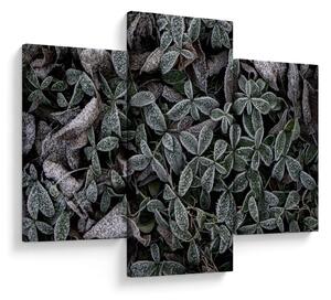 Slika - Smrznute biljke (90x60 cm)