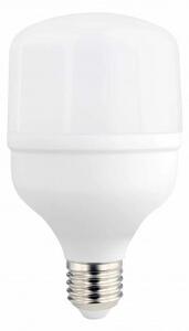 LED žarulja E27 T80 24W