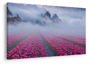 Slika - Krajolik s poljima tulipana (90x60 cm)