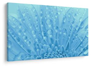 Slika - Makro snimak cvijeta (90x60 cm)