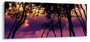 Slika - Drveće u zalasku sunca (120x50 cm)