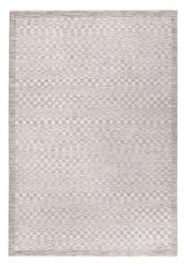 Tepih sivo-bež 120x160 cm Laurent Grey Silver – Asiatic Carpets