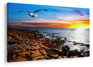 Slika - Galeb leti iznad obale (90x60 cm)