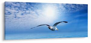 Slika - Galeb nad morem (120x50 cm)