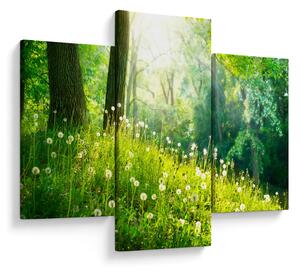 Slika - Čarobna livada puna maslačaka (90x60 cm)