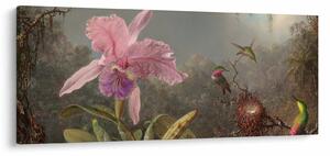 Slika - Martin Johnson Heade, Cattleya Orchid and Three Hummingbirds, reprodukcije (120x50 cm)