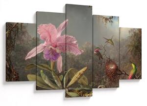 Slika - Martin Johnson Heade, Cattleya Orchid and Three Hummingbirds, reprodukcije (150x105 cm)