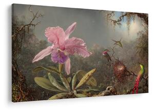 Slika - Martin Johnson Heade, Cattleya Orchid and Three Hummingbirds, reprodukcije (90x60 cm)