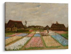 Slika - Vincent van Gogh, Flower Beds in Holland, reprodukcije (70x50 cm)