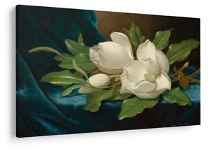 Slika - Martin Johnson Heade, Giant Magnolias on a Blue Velvet Cloth, reprodukcije (90x60 cm)