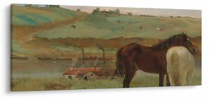 Slika - Edgar Degas, Horses in a Meadow, reprodukcije (120x50 cm)