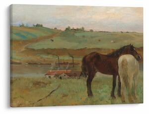 Slika - Edgar Degas, Horses in a Meadow, reprodukcije (70x50 cm)