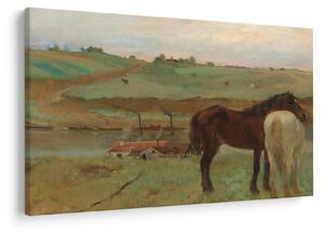 Slika - Edgar Degas, Horses in a Meadow, reprodukcije (90x60 cm)