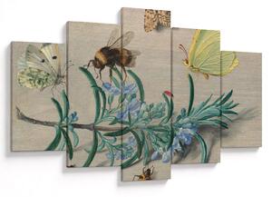 Slika - Jan van Kessel the Elder, Insects and a Sprig of Rosemary, reprodukcije (150x105 cm)