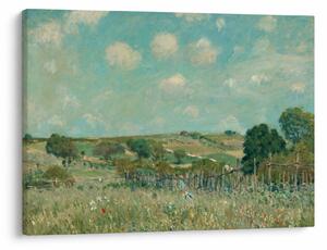 Slika - Alfred Sisley, Meadow, reprodukcije (70x50 cm)