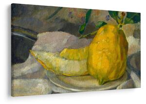 Slika - French 19th Century, Melon and Lemon, reprodukcije (90x60 cm)