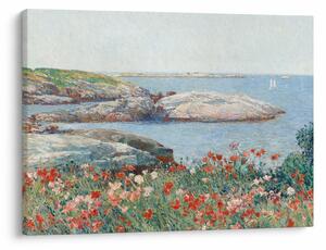 Slika - Childe Hassam, Poppies, Isles of Shoals, reprodukcije (70x50 cm)