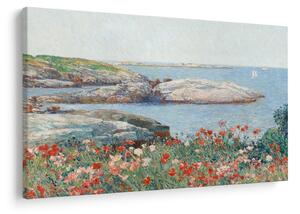 Slika - Childe Hassam, Poppies, Isles of Shoals, reprodukcije (90x60 cm)