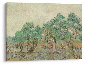 Slika - Vincent van Gogh, The Olive Orchard, reprodukcije (70x50 cm)