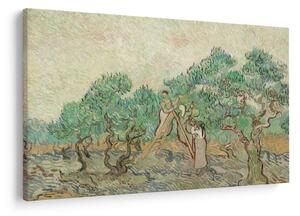Slika - Vincent van Gogh, The Olive Orchard, reprodukcije (90x60 cm)