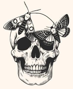 Ilustracija Hand drawn human skull head butterfly, Julia Solodukhina