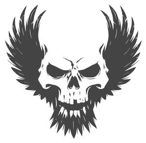 Ilustracija Black skull illustration with wings, d1sk