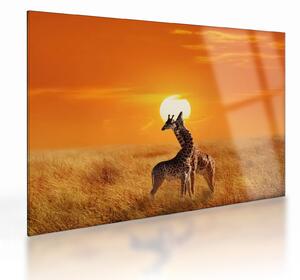 Staklena slika - Žirafe u nacionalnom parku Serengeti (70x50 cm)