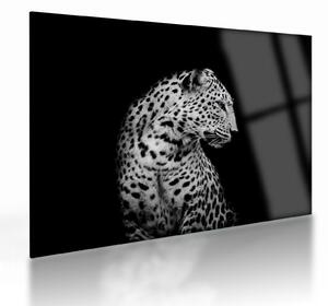 Staklena slika - Leopard (70x50 cm)
