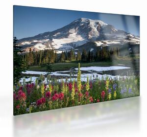 Staklena slika - Mount Rainier (70x50 cm)