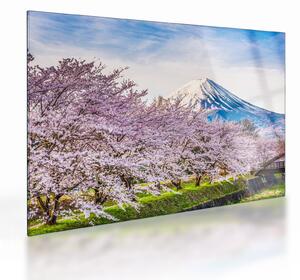 Staklena slika - Japan u proljeće (70x50 cm)