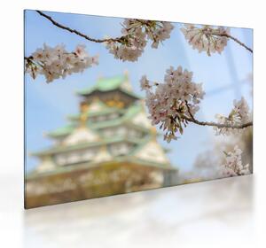 Staklena slika - Sakura (70x50 cm)