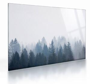 Staklena slika - Maglovita šuma (70x50 cm)