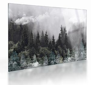 Staklena slika - Šuma s ilustriranim elementima (70x50 cm)