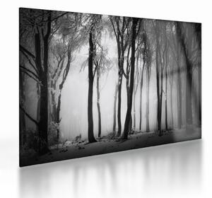 Staklena slika - Vuk u mračnoj šumi (70x50 cm)
