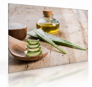 Staklena slika - Aloe vera (70x50 cm)