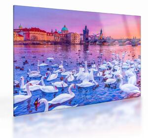 Staklena slika - Prag (70x50 cm)