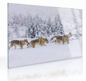Staklena slika - Vukovi u planinama (70x50 cm)