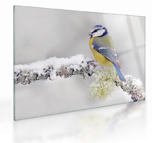 Staklena slika - Plava sjenica u šumi (70x50 cm)