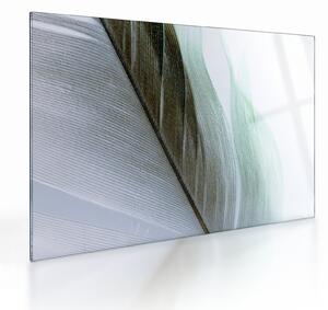 Staklena slika - Perje, makro (70x50 cm)